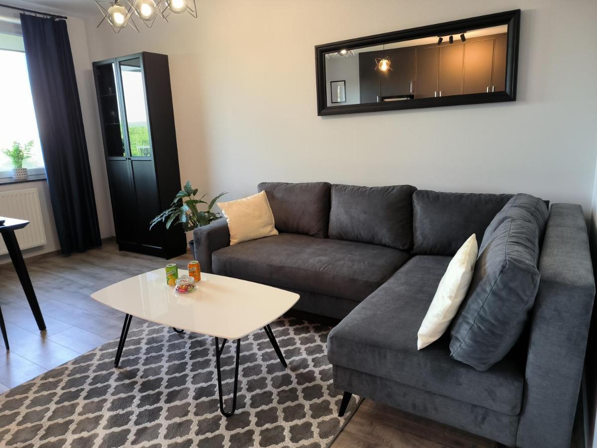 Apartament Stanczyka - 42M2 克拉科夫 外观 照片